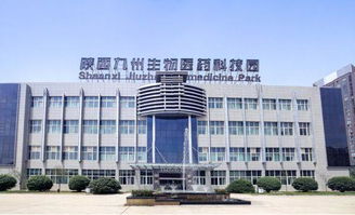 肌膚凍齡秘訣 獨一無二的外泌體