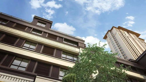 金二環(huán) 不止是鋼鐵叢林，更是全優(yōu)型花園人居的龍辰九州